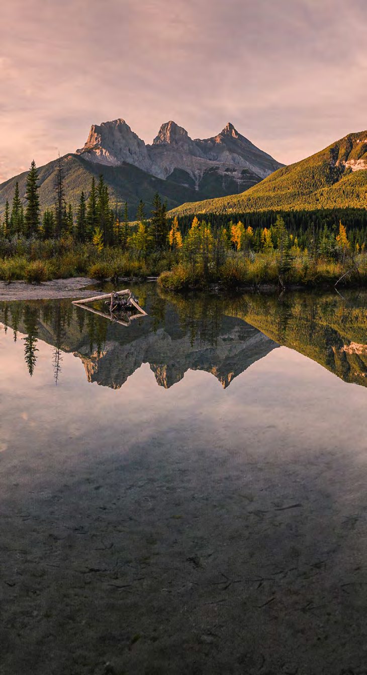 Three Sisters reflection